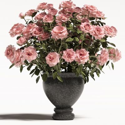 现代玫瑰花花瓶