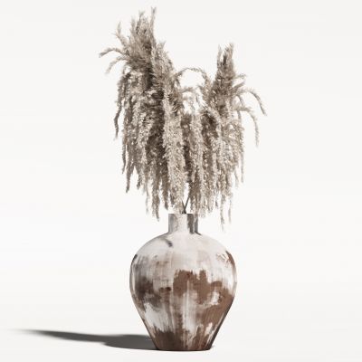 侘寂花瓶植物