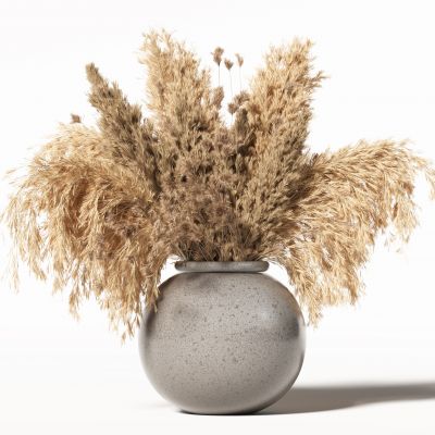 侘寂花瓶花艺植物