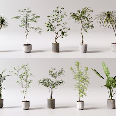 现代花盆 盆栽绿植 室内植物盆栽组合 盆栽 植物 绿植 室内植被摆件