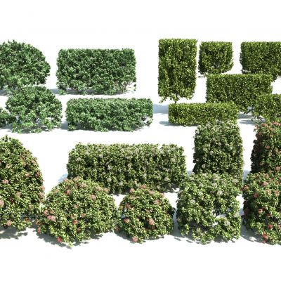 现代灌木绿篱组合