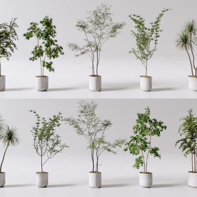 现代花盆 盆栽绿植 室内植物盆栽组合 盆栽 植物 绿植 室内植被摆件