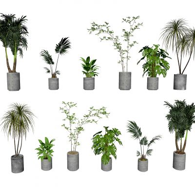 su现代花盆 绿植 室内植物组合