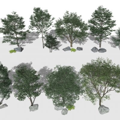 现代树木 景观树 乔木 灌木植物