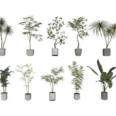 现代花盆 盆栽绿植 室内植物盆栽组合 盆栽 植物 绿植 室内植被摆件