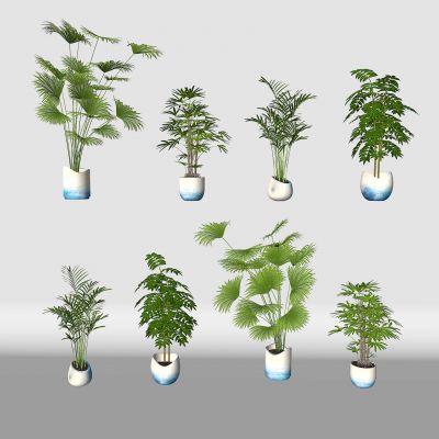 现代花盆 绿植 盆栽植物组合