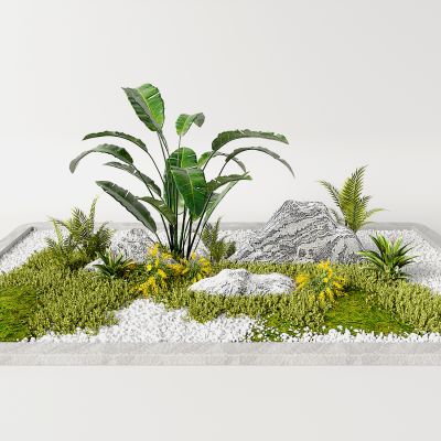 庭院小景组合 白色鹅卵石 植物组合 微地形景观组合