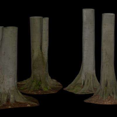 木头 树桩 树杆 木材 木柴 朽木3D模型