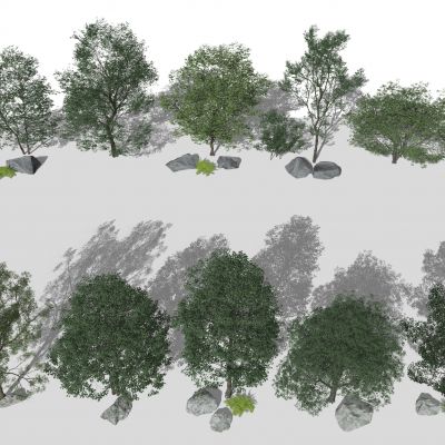 现代树木 景观树 乔木 灌木植物