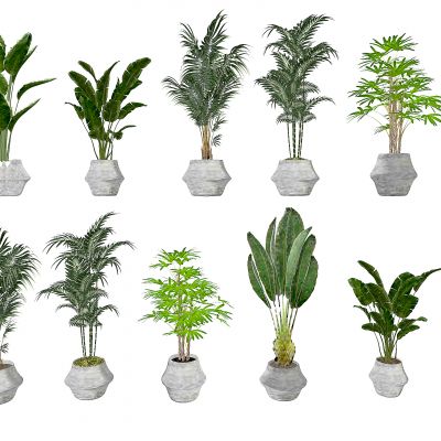 现代花盆 绿植 室内植物组合