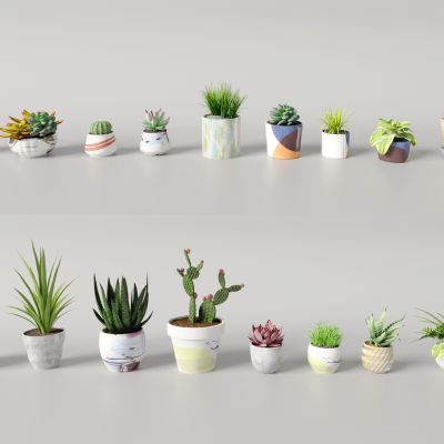 现代花盆，现代盆栽，室内盆栽，现代多肉小盆栽， 桌面盆栽， 办公桌摆件， 仙人掌 ，文艺范花盆3d模型组合