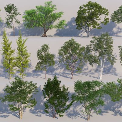 现代树木合集3D模型