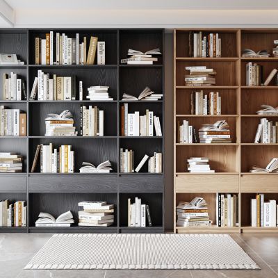 现代书柜 装饰柜 书籍摆件
