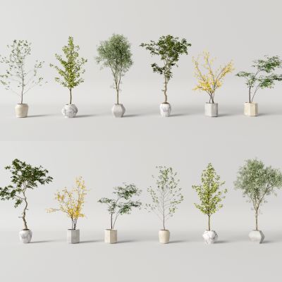 3d现代花盆 绿植 盆栽植物组合