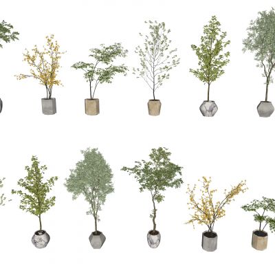 3d现代花盆 绿植 盆栽植物组合