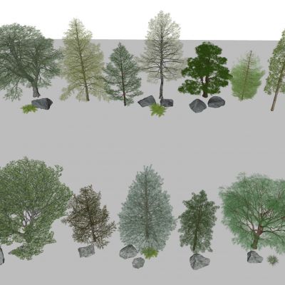 树木 景观树 乔木 灌木植物 松树