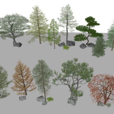 树木 景观树 乔木 灌木植物 松树