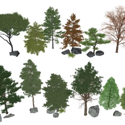 树木 景观树 乔木 灌木植物 松树