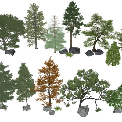 树木 景观树 乔木 灌木植物 松树