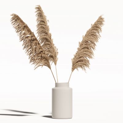 侘寂花瓶花艺植物