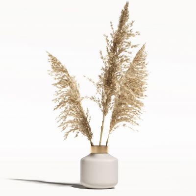 侘寂花瓶花艺植物