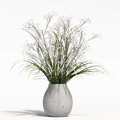 现代花瓶植物 花瓶花卉