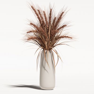 侘寂花瓶花艺植物