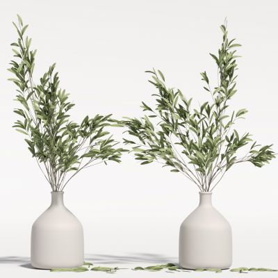 现代花瓶植物 花瓶花卉