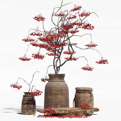 侘寂花瓶花艺植物