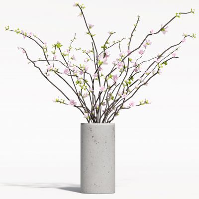 现代花瓶植物 花瓶花卉