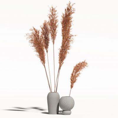 侘寂花瓶花艺植物