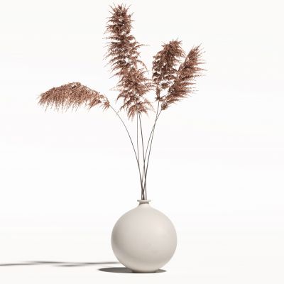 侘寂花瓶花艺植物