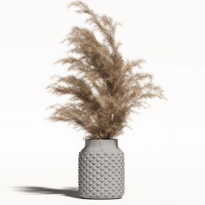 侘寂花瓶花艺植物