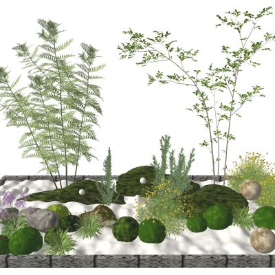 3d现代组团小景模型  景观植物堆 公园小景组合 庭院小景植物组团