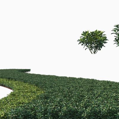 现代灌木3D模型