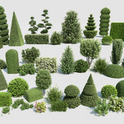 现代灌木绿篱组合