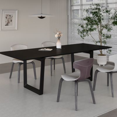 现代餐厅 餐桌椅组合