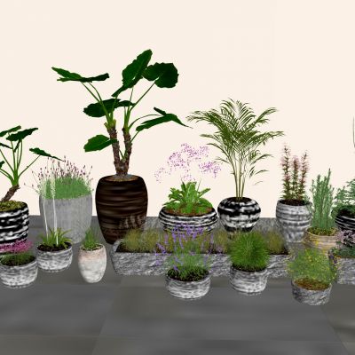 现代绿植盆栽自然风花盆