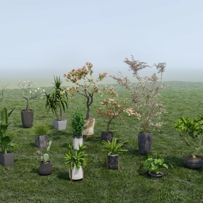 现代盆栽 中式花钵花箱