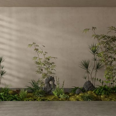 室内造景 植物堆 微地形