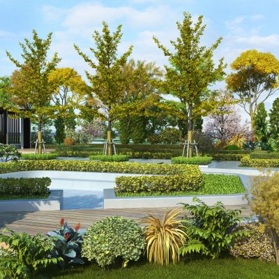 现代园林景观秋景