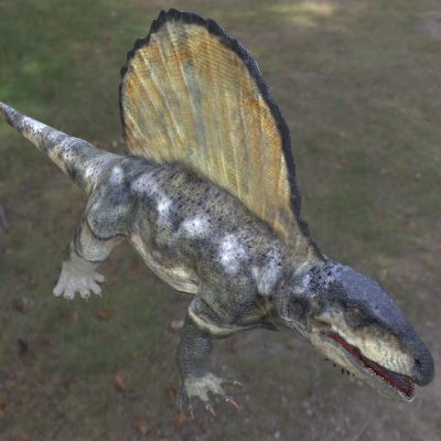 异齿龙二叠纪时期肉食性古生物