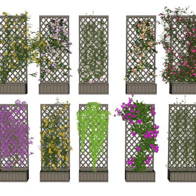 现代攀援爬藤植物