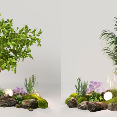 su现代室内微地形植物组合