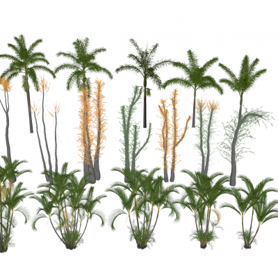 现代热带植物组合