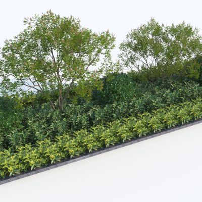 现代花坛 灌木组合3D模型