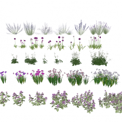 现代花卉灌木组合