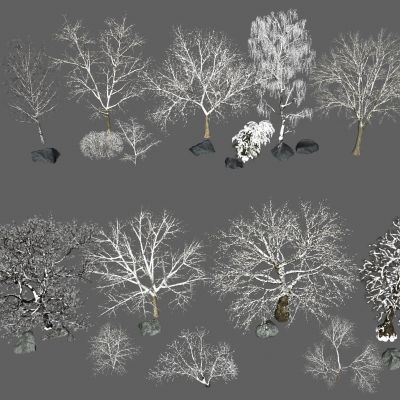冬景树 冬季树 景观树 雪树 雪松 枯树 落叶树3D模型