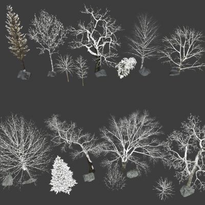 冬景树 冬季树 景观树 雪树 雪松 枯树 落叶树3D模型