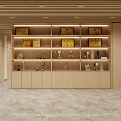 现代荣誉柜，荣誉柜，奖杯，